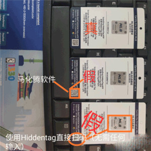hiddentag软件