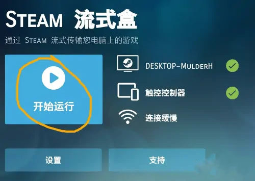 steam link