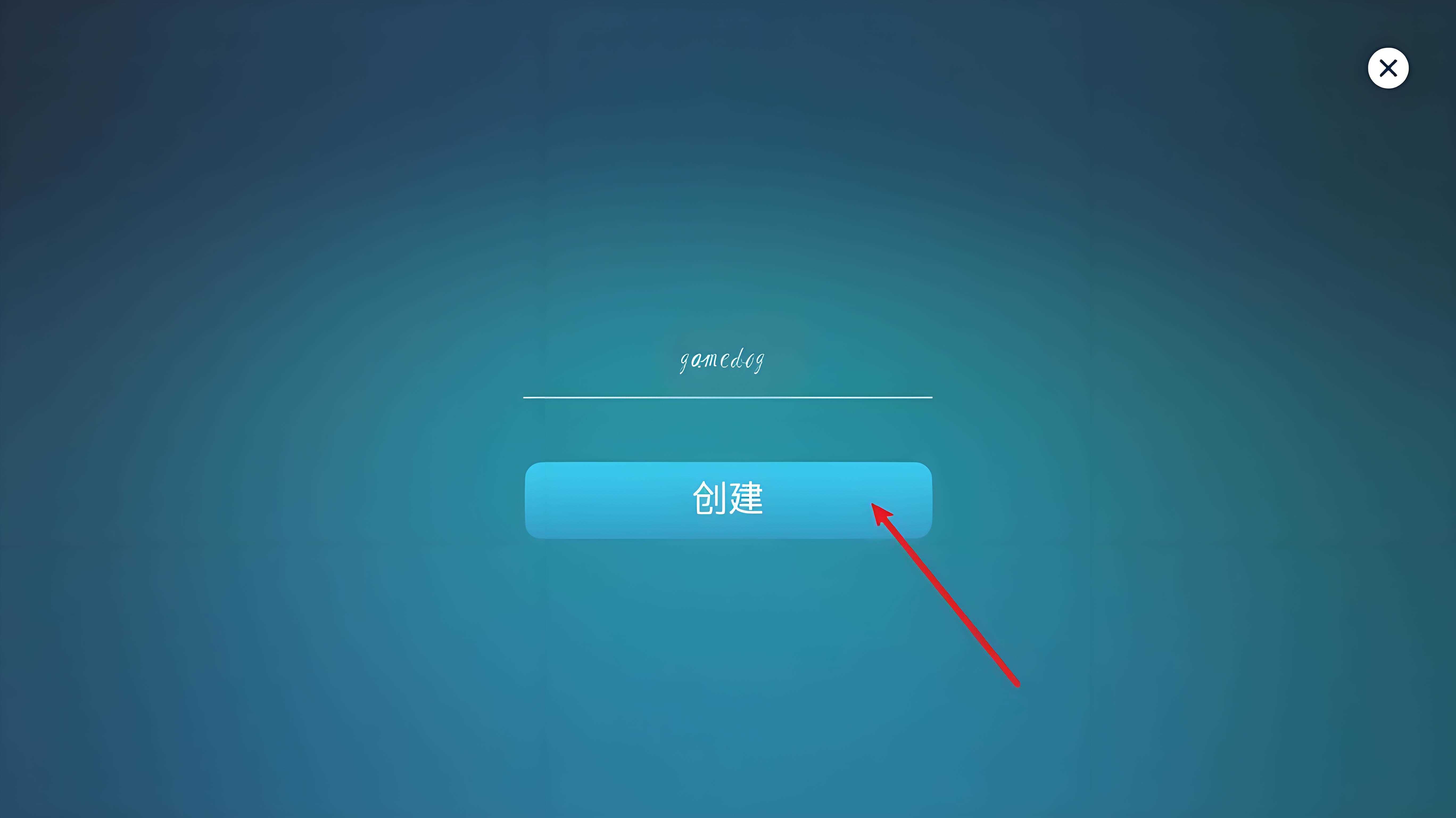 主机大亨