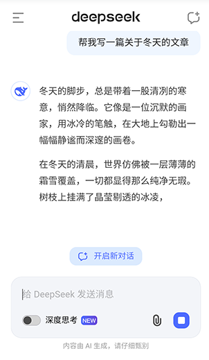 DeepSeek谷歌版
