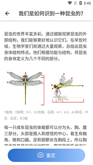 Picture Insect中文版免费下载-Picture Insect昆虫识别APP下载最新版v2.8.33