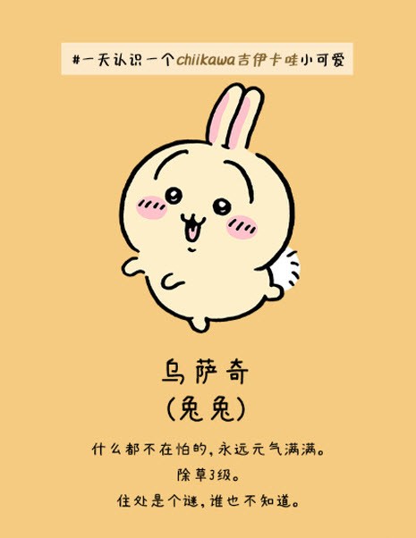 口袋吉伊卡哇