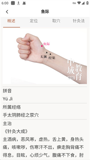扁鹊中医