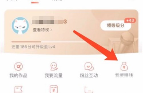 小拉出行司机版