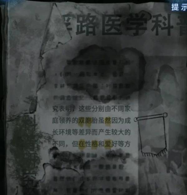 奇珀网
