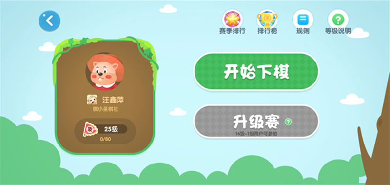 棋小圣