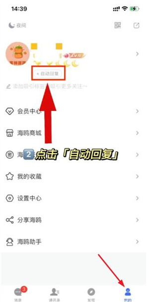 海鸥聊天app
