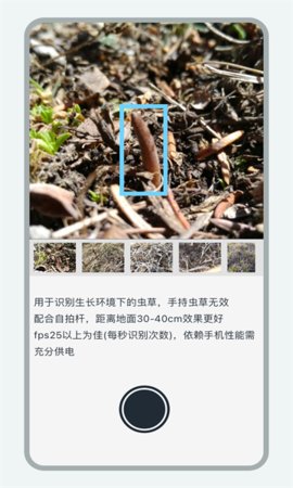 乐见虫草app