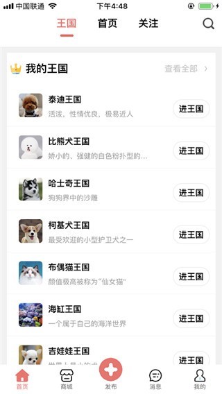宠物王国