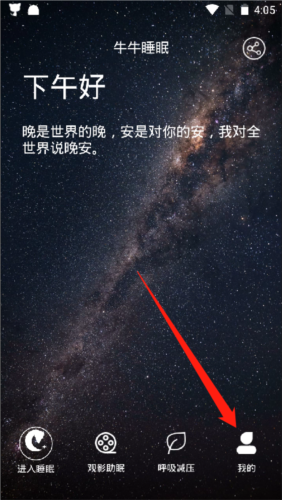 牛牛睡眠