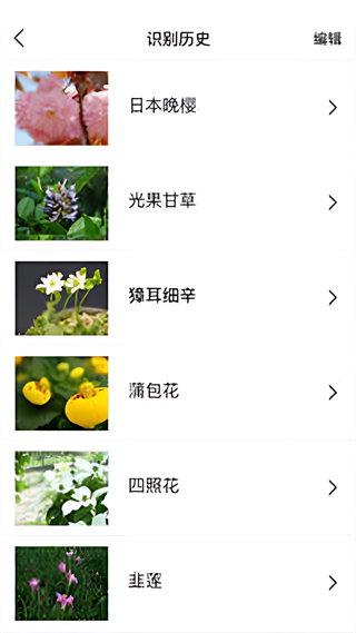 识花君