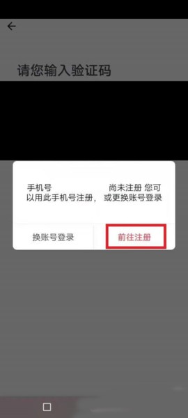 小拉出行司机版