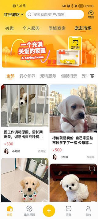 宠胖胖软件免费下载安卓-宠胖胖软件最新版安卓免费下载v6.1.2