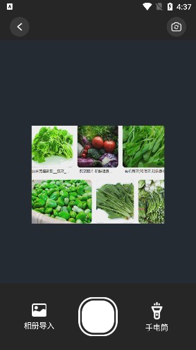 高效扫描助手