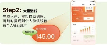 出差大橙7