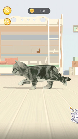 呼噜猫舍app