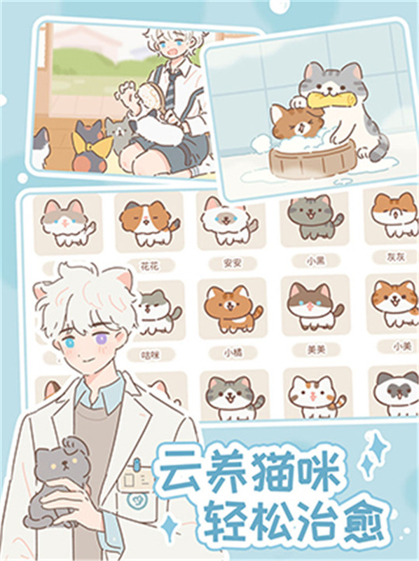 遇见你的猫国际服